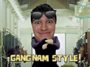 STANARD STYLE 